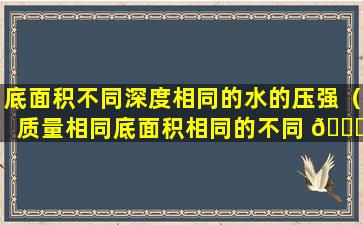 底面积不同深度相同的水的压强（质量相同底面积相同的不同 🐘 种液体的压强哪个比较大）